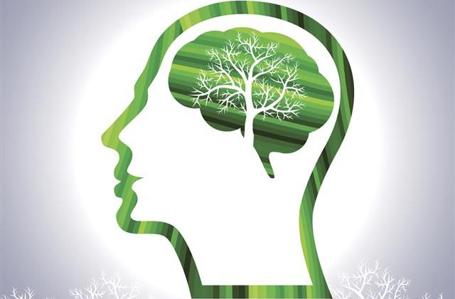 THE-PRACTICAL-IMPORTANCE-OF-ENVIRONMENTAL-PSYCHOLOGY