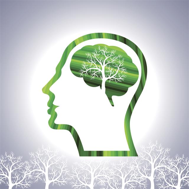 environmental-psychology-and-its-importance-rtf